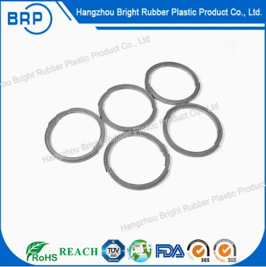 Customized PTFE Lip Seal Plastic O Rings factory